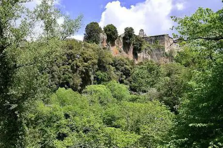 Bosco di Nepi