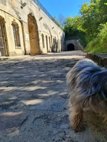 Photo de Parc de la Redoute de Saint-Apollinaire