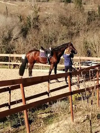 Photo de I Cavalli di Semifonte