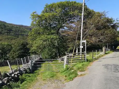 Coed Crafnant North Wales Wildlife Trust Nature Reserve