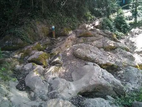 Font del Llimac