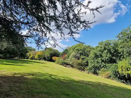 Clyne Gardens
