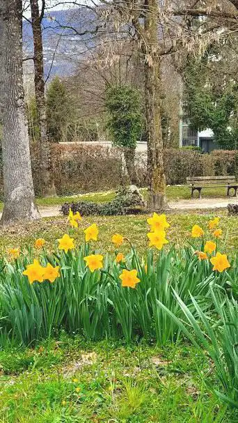 Photo de parc