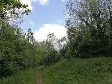 Réserve naturelle Vogelenzang
