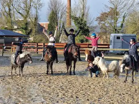 Haras De Neaufles