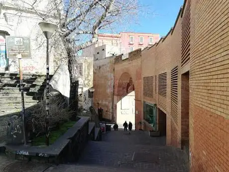 Rampe Raffaello Causa