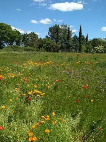 Photo de Latt'arôme