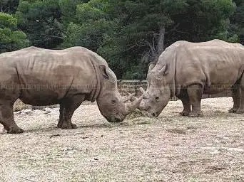Photo de Zoo Barben