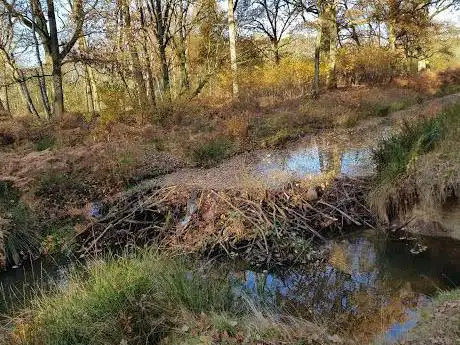 Photo de Landgoed Hoefheide
