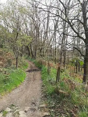 Photo de le Moulin de la rivière