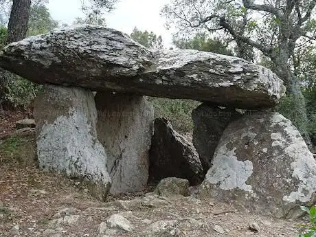 Photo de Dolmen dels Tres Peus