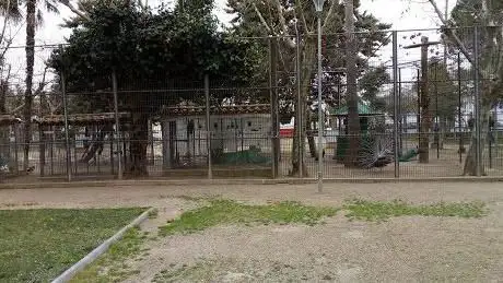 Photo de Municipal Park