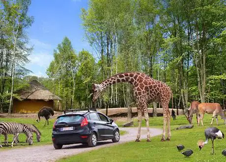 Monde Sauvage Safari Parc