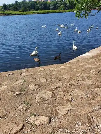Trent lock Carpark