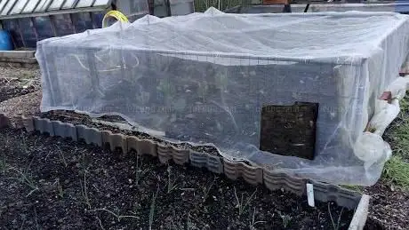 York Street Allotments