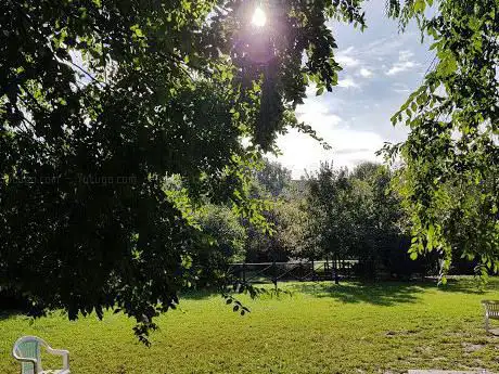 Photo de Parco Leopardi