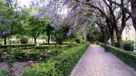 Photo de La Glorieta