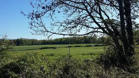 Photo de Biddick Hall / Lambton Castle