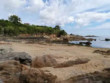 Photo de Praia Pedras Negras