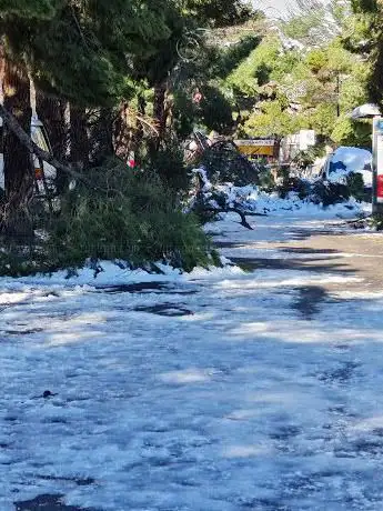 Photo de Plaza del Cura Tomás