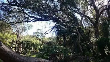 Piton Ravine Blanche