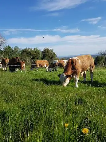 Photo de Castleview Open Farm