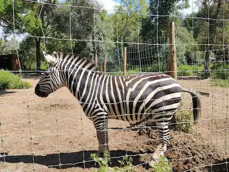 Photo de Europaradise | Parque Zoológico