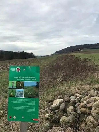 IP-Suisse  mehrjährige Brache