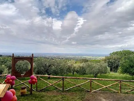 Photo de Big Bench #289 Lariano