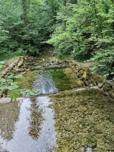 Photo de Source de l'Allondon