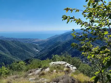 Monte Borgo