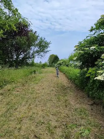 Photo de Il Bosco Vivo di Polverara
