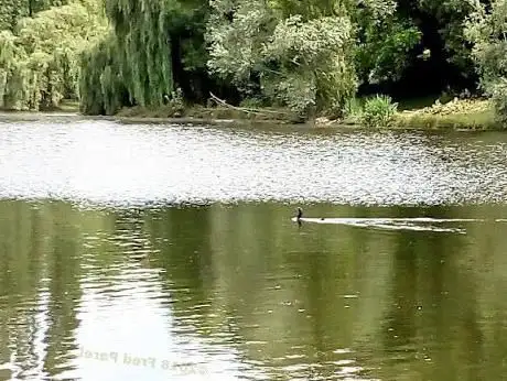 Bassin de Morsang