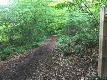 Kloosterbos