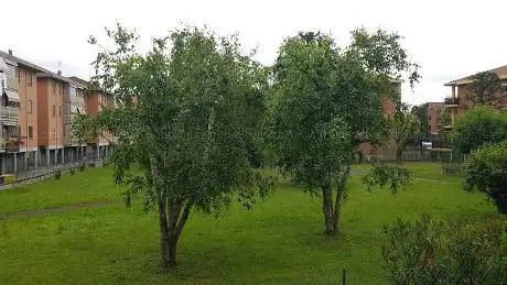 Parco Comunale Via Vittime di Bologna