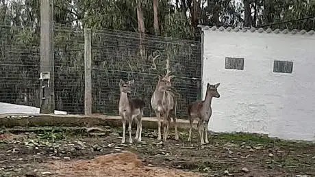 Quinta Pedagógica de Silves