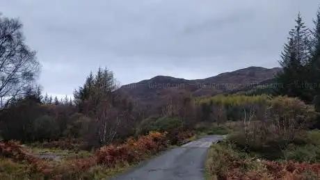 Photo de Kinloch Forest