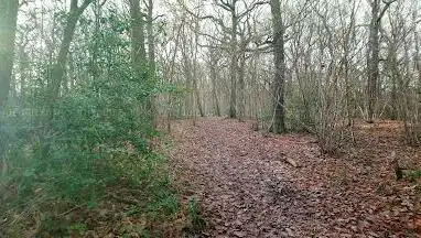 Photo de Thornden Wood