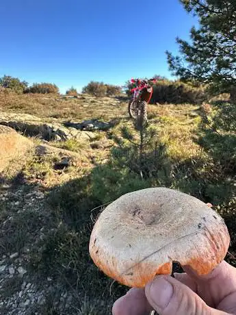 Il Vallone dell'Acquedotto