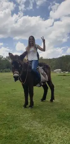 Photo de El Reino De Jere