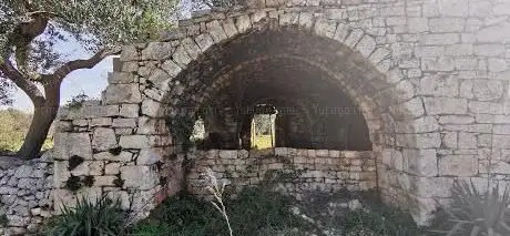 Photo de Il Palmento