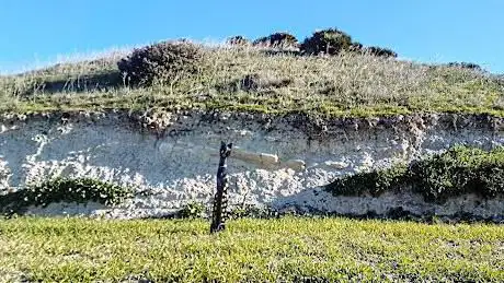 Monte Trigu