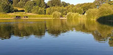 Ladywood Lakes Fishery