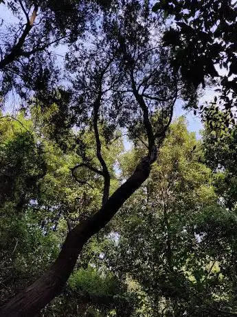 Photo de Partenza anello monte raga