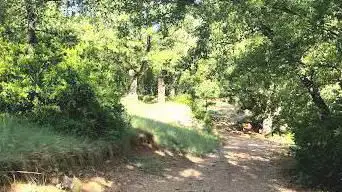 Photo de El robledal de La Creueta d'Areny