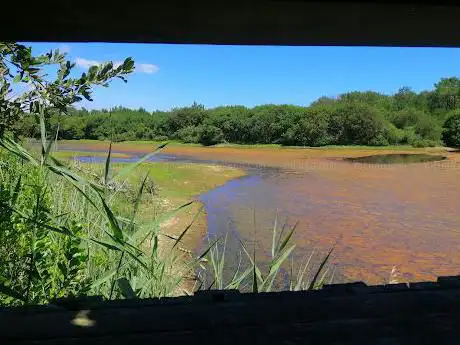 Photo de Observatoire étang de la Malloueyre