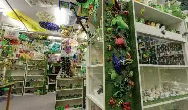 Photo de Frog Museum