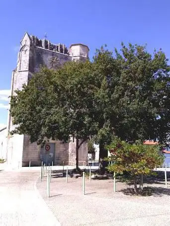 Photo de arbre de la liberté