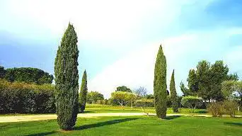 Photo de Parc du Mas De L'hopital