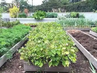 Photo de Edible Academy, NYBG
